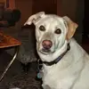 Bob Speck - @bob.speck7 - TikTok