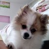 BobSpitz - @bob_spitz - TikTok