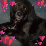 Bob Stack - @stackbob - Instagram