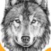 Bob Stack - Facebook