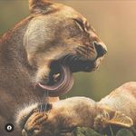 Bobo Khumalo Dlamini Stona - @bobstack.coza - Instagram