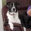 bobstanton953 - @bobstanton953 - TikTok