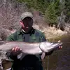 Bob Steffes - @bob.steffes - TikTok