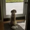 bobstein769 - @bobstein769 - TikTok