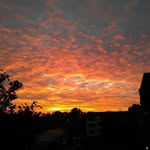 bob Steve - @bobsteve71 - Instagram