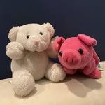 Bob Steve - @bob_steve06 - Instagram
