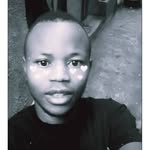 Bob Steve - @steven212024 - Instagram
