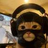 iam.bob - @iam.bobstone - TikTok