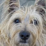 Bob R Strand - @bob.strand.50 - Instagram