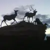 bobbystrauss - @bobby.strauss - TikTok