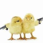 Bob Strode - @bob.strode - Instagram