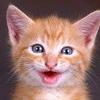 Bob Struble647 - @bobstruble647 - TikTok