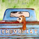 Bob Stull - @basset_27551 - Instagram