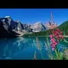Bob Sumerall - @bob.sumerall - TikTok