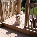 Bob Sutter - @sutterbob - Instagram
