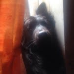 Shadow James Bob Swain - @shadowswain_ - Instagram