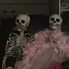 bob and sylvia - @bob.and.sylvia - TikTok