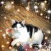 Bob-Sylvia Reeve - Facebook