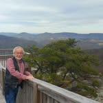 Bob Tapp - @bob.tapp.37 - Instagram