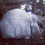 Bob Tapp - @tappbob - Instagram