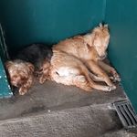 Bob & Ted - @bobeted - Instagram