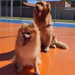 Bob e Ted - @bobted_ - Instagram