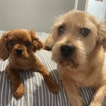 Bob Ted - @bob_n_ted_ - Instagram