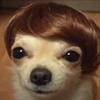 Bob ross - @bob_the_meme - TikTok