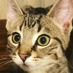 BB Thurston - @billybobthurston - Instagram