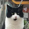billybobtinker - @billybobtinker - TikTok