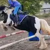 Bobby.tinker_ - @bobby.tinker_ - TikTok