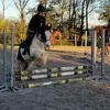 🐴🐴 - @bobdetinker - TikTok
