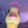 tinkerbobs - @tinkerbobs - TikTok