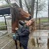 Tinker.horse.Bob - @tinker.horse.bob - TikTok