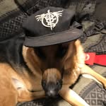 Bob Tipton - @i_am_bob2017 - Instagram
