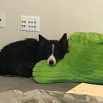 Bob Toth - @fixer_fabio67 - Instagram