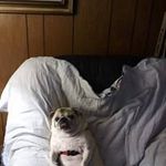 Bob Toth - @bobtoth1 - Instagram