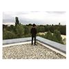 Bob Tran - @trnbob - TikTok