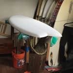 Rob Triplett - @naturallyaquatic - Instagram