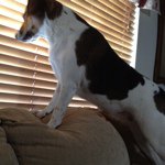 @bob_trotter - Instagram