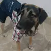 Yesy rossanasa Zapat - @bobtrujillo10 - TikTok