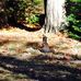 Bob Vanhorn - Facebook