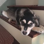 Bob Vaughn - @bob.vaughn.7186 - Instagram