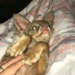 bob vaughn - @bobvaughn07 - Instagram