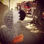 Bob Waldo - @wheresbobwaldo - Instagram