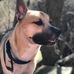 Bobby Waldo - Facebook