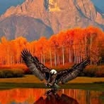 Bob Waller - Facebook