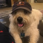 Bob Walpole - @bob.walpole - Instagram