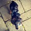 Bob & Walter Weens - @bobxwalt - TikTok