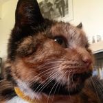 Bob Waters - @waters1792 - Instagram